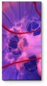 Модульная картина Розовая медуза40x80