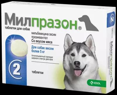 Милпразон® антигельминтик для собак более 5 кг, таблетки 12,5 мг/125 мг 2 шт