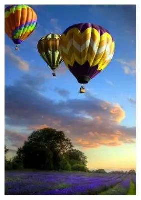 Картина по номерам "Две картинки" "Colibri" Полет на шаре над лавандовым полем