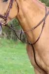 Мартингал для лошади SHIRES Velociti, COB, коричневый (Великобритания)