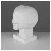 Гипсовая фигура анатомическая: обрубовка черепа по Баммесу, 23,5 х 16 х 27 см