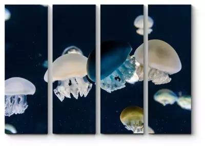 Модульная картина Красивые медузы110x83