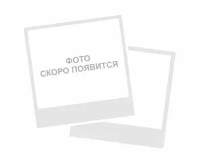 Фитинг для машины котломоечной Tatra 6259.00003.10