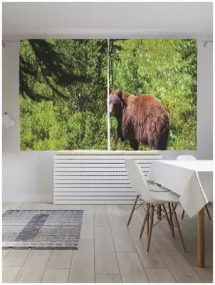 Шторы JoyArty с фотопечатью "Медведь в лесу" из сатена, 290х180 см