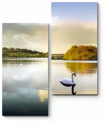 Модульная картина Лебеди в шотландском озере 120x150