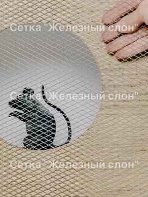 Сетка для защиты дома от грызунов просечно-вытяжная оцинкованная ячейка 5х5 мм перемычка 0,5х0,7мм рулон 1х10м