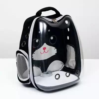 Рюкзак для переноски кошек и собак прозрачный«Котик», 34 х 25 х 40 см, чёрный