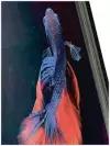 Чехол-книжка Красно-синяя рыба на Xiaomi 12 / 12X / 12S / Сяоми 12 / 12Х / 12с черный