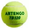 Мяч Decathlon Artengo TB120 3 шт. зеленый