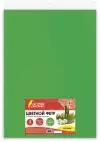 Цветной фетр для творчества, 400х600 мм, остров сокровищ, 3 листа, толщина 4 мм, плотный, зеленый, 660656