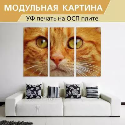 Модульная картина "Кот, похмелье, красный" для интерьера на ОСП плите, 190х125 см