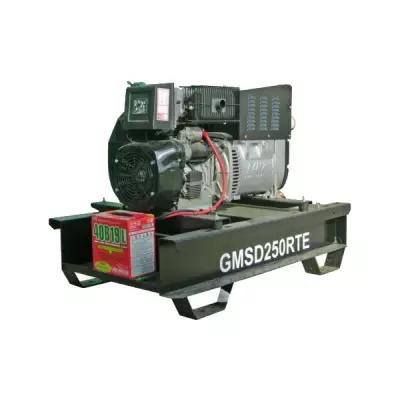 Дизельный генератор GMGen GMSD250LTE