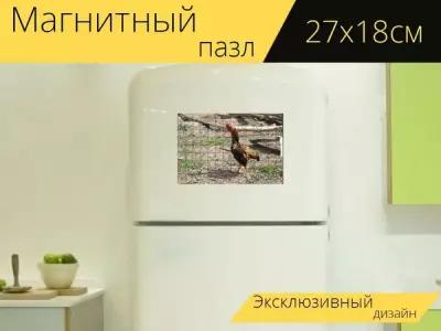 Магнитный пазл "Ко шамо, петух, курица" на холодильник 27 x 18 см